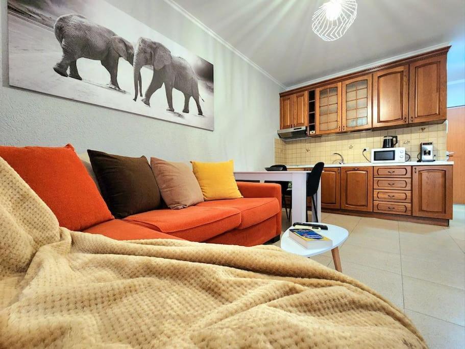 One Bd Flat Near Center With 24H Self Check In Apartment Tiranë Luaran gambar