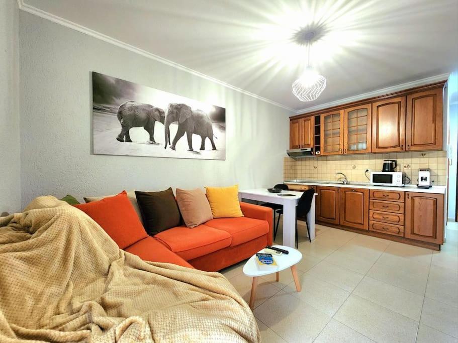 One Bd Flat Near Center With 24H Self Check In Apartment Tiranë Luaran gambar