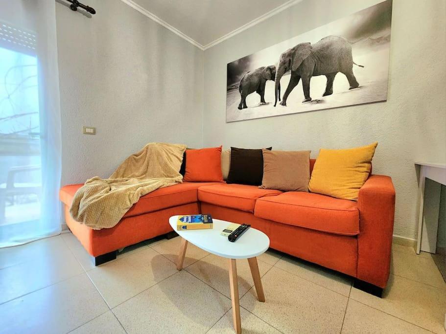 One Bd Flat Near Center With 24H Self Check In Apartment Tiranë Luaran gambar